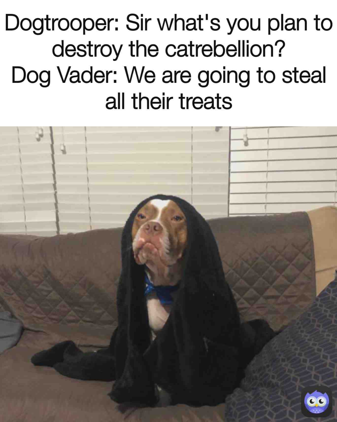 Meme shared by @mickjagger