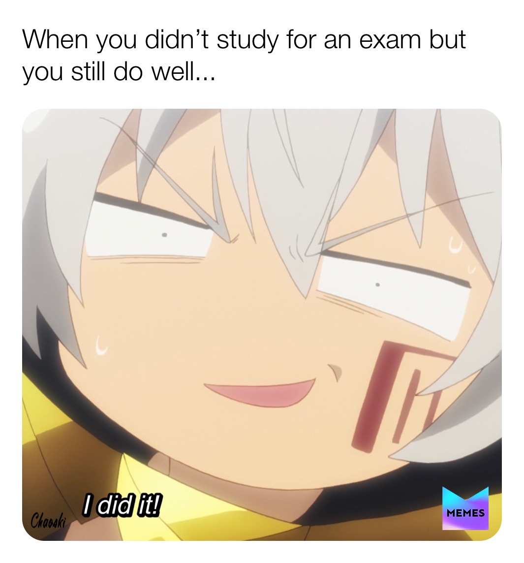 Meme by ChaoskiAkuma