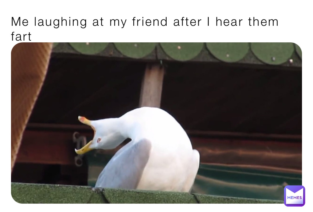 Me laughing at my friend after I hear them fart
