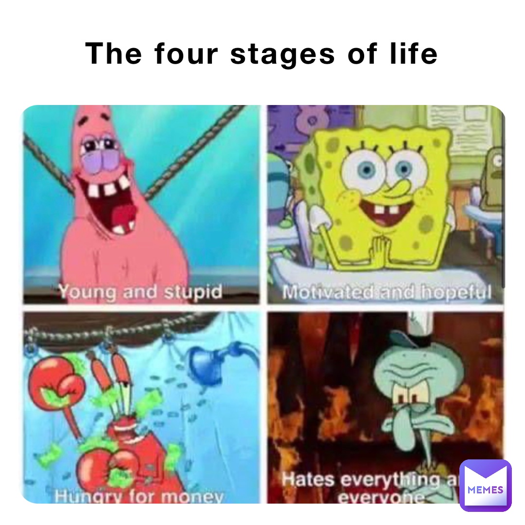 The four stages of life