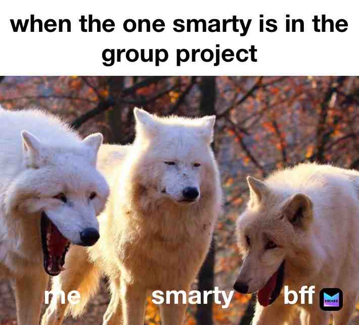 Im always the left one #memes #wolf #groupprojectproject