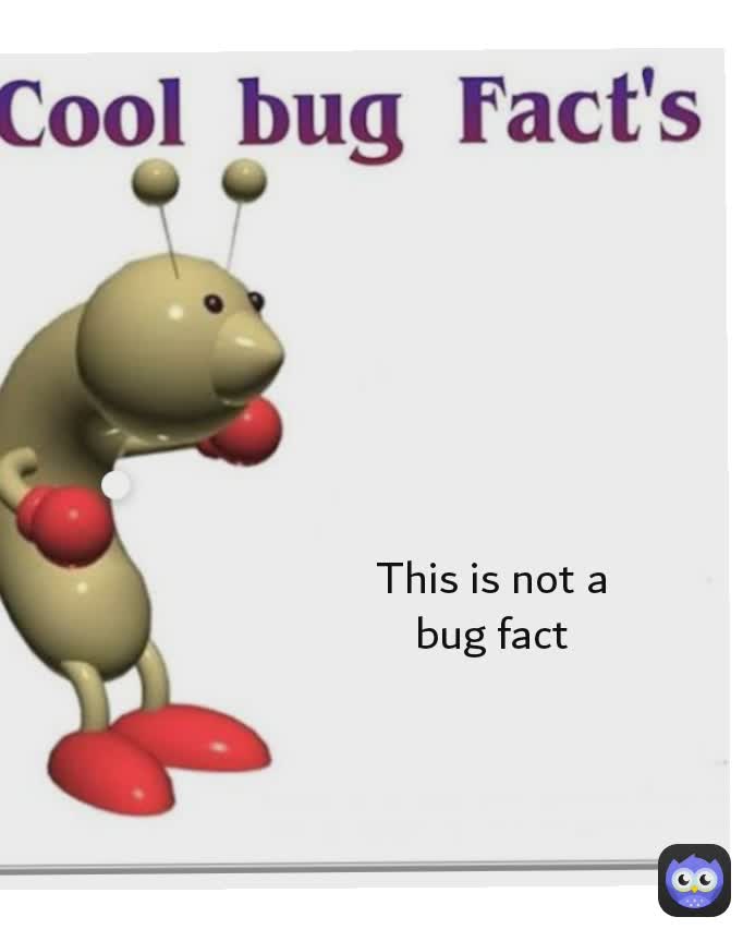 Type Text This is not a bug fact