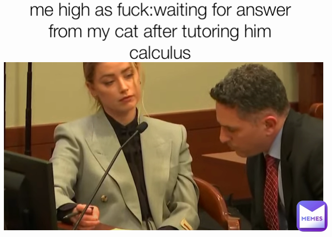 me high as fuck:waiting for answer from my cat after tutoring him calculus