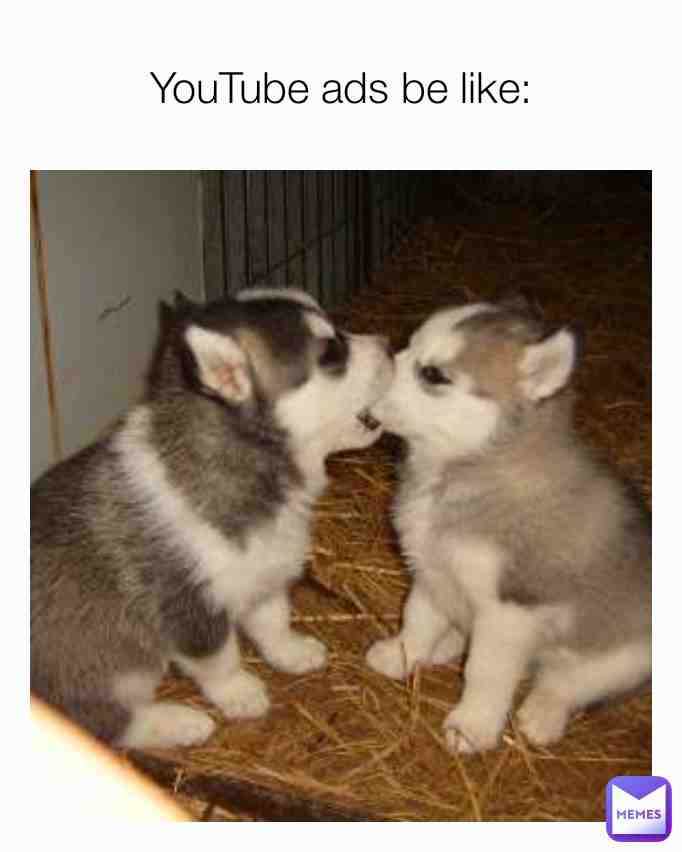 Meme shared by @Hogrid