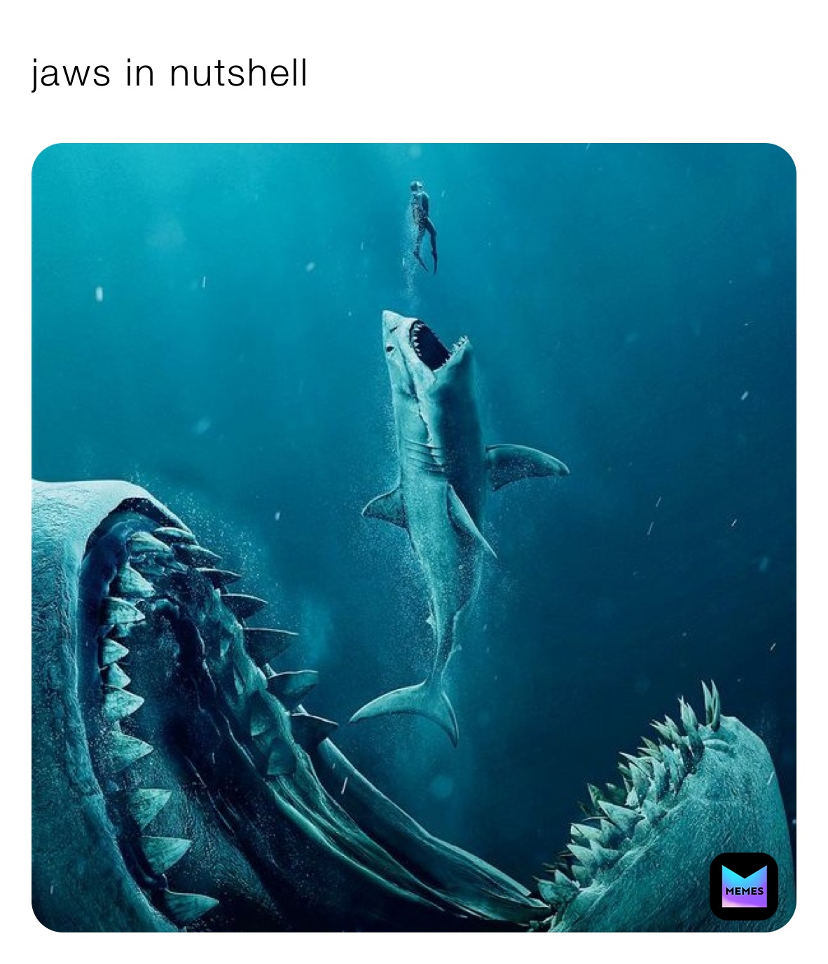 jaws in nutshell explosion_boi Memes