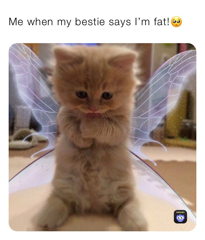 Me when my bestie says I’m fat!🥺