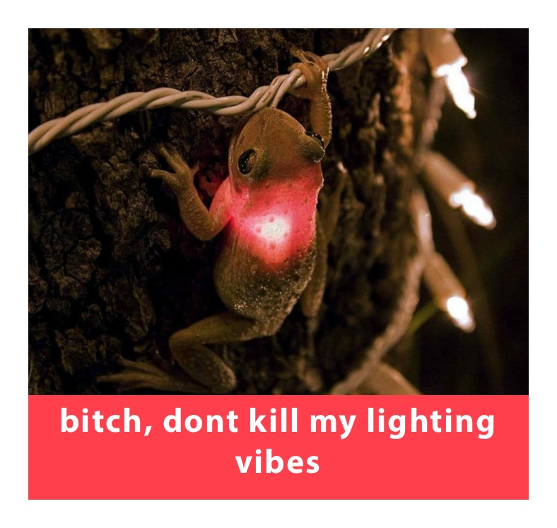 bitch, dont kill my lighting vibes