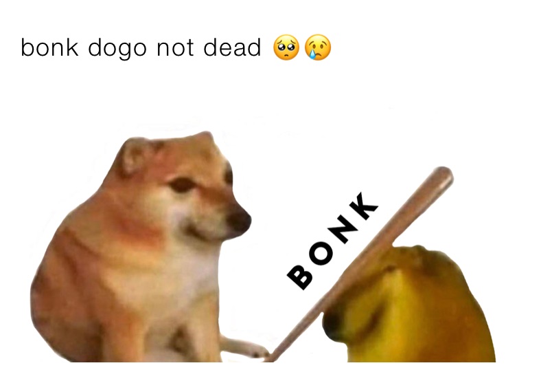 bonk dogo not dead 🥺😢