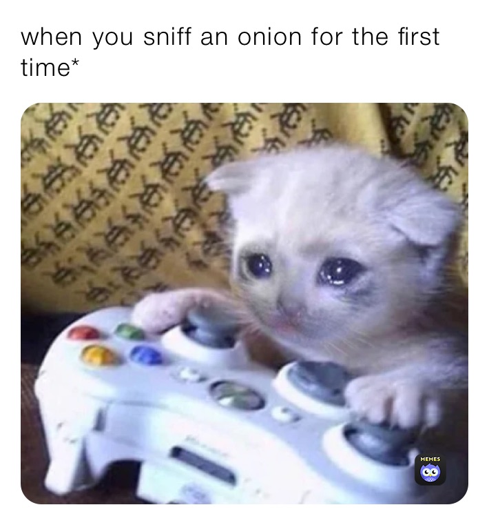 when you sniff an onion for the first time*