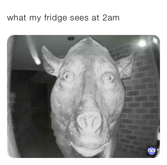 what my fridge sees at 2am