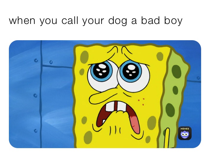 when you call your dog a bad boy