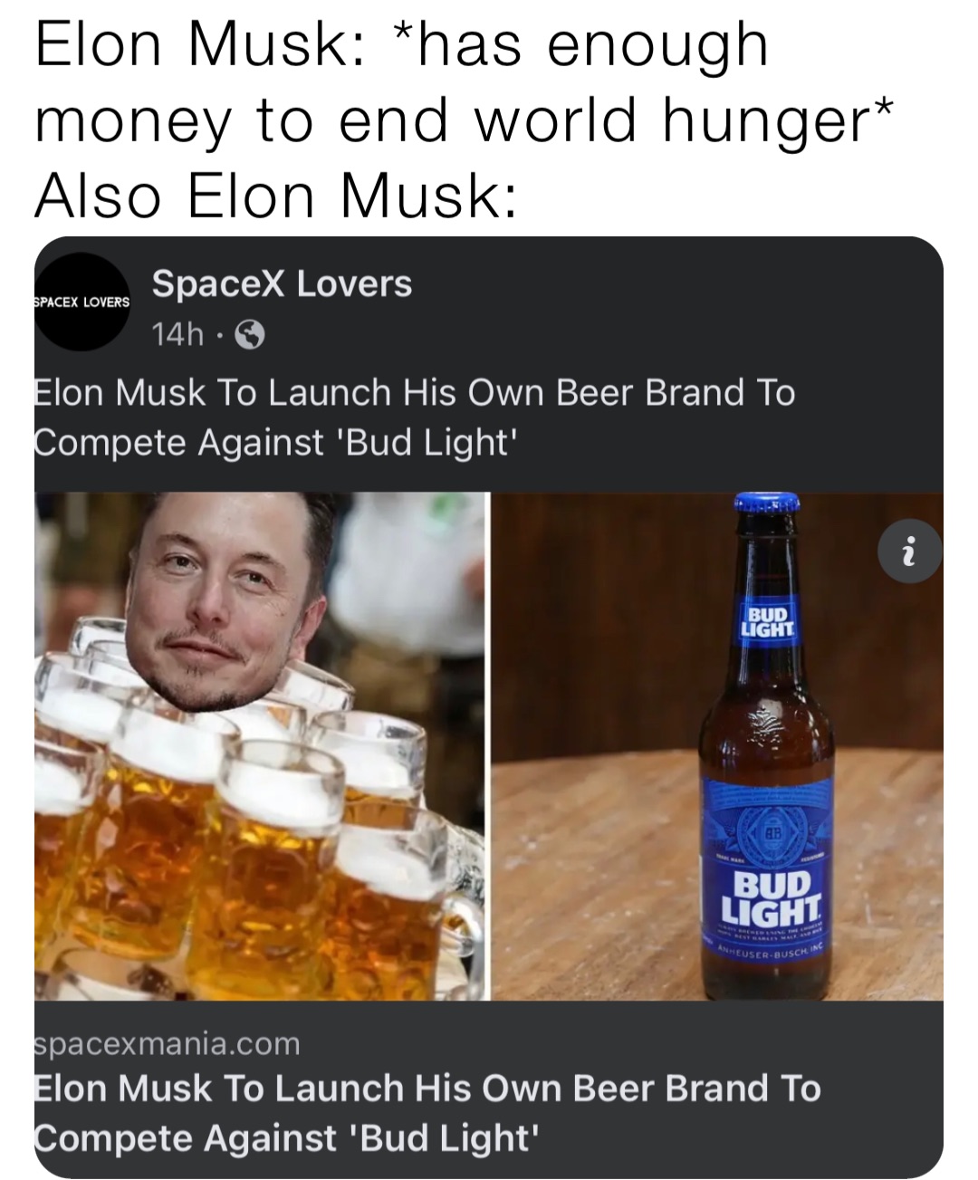 Elon Musk: *has enough money to end world hunger*
Also Elon Musk: