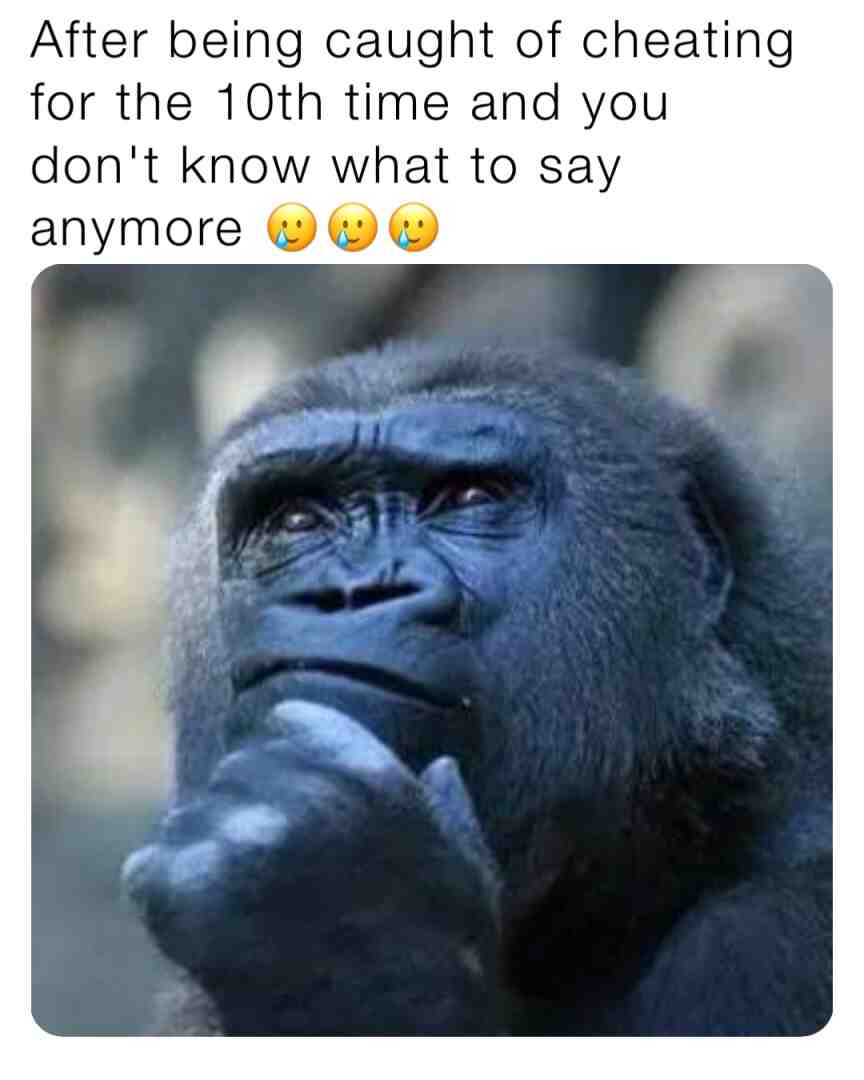 #memes