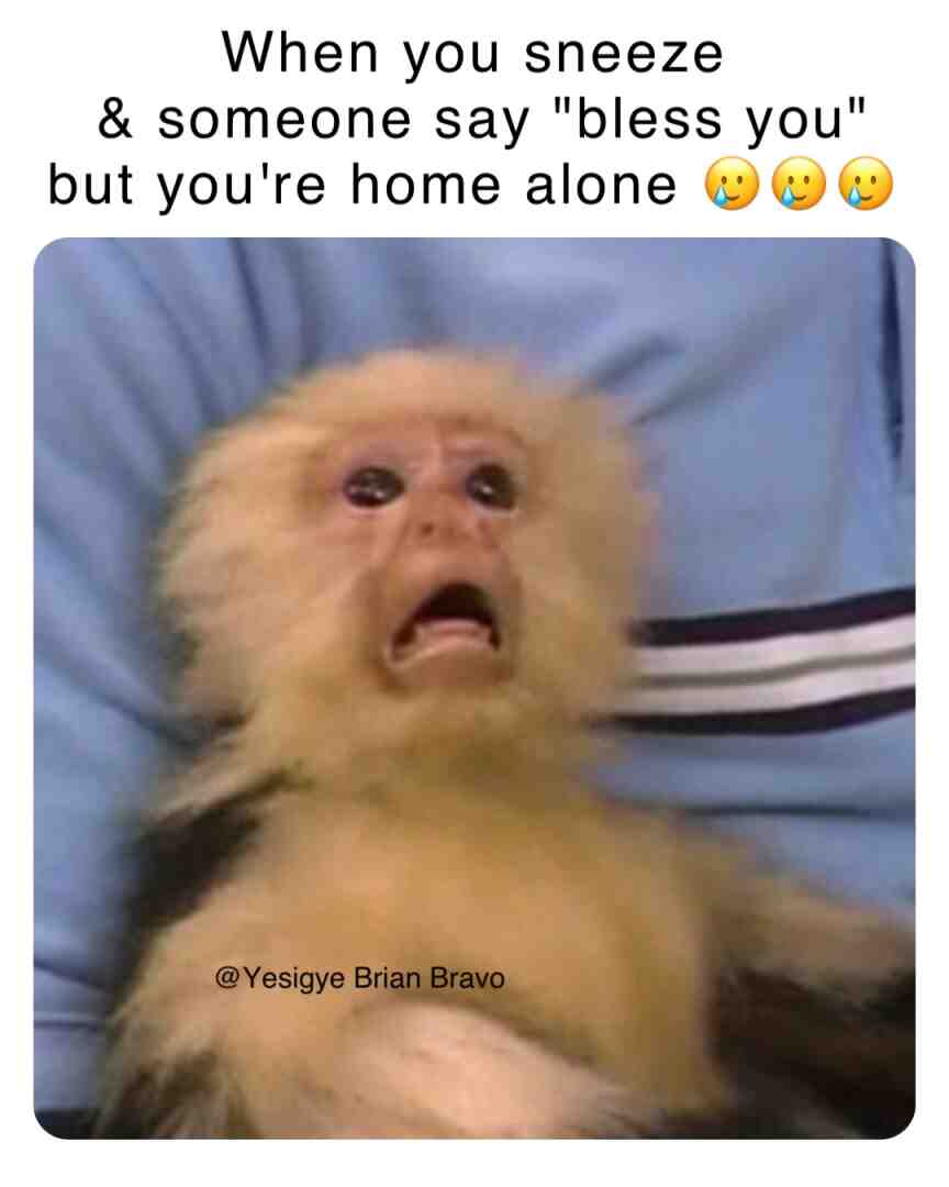 Meme shared by @YBravomeme