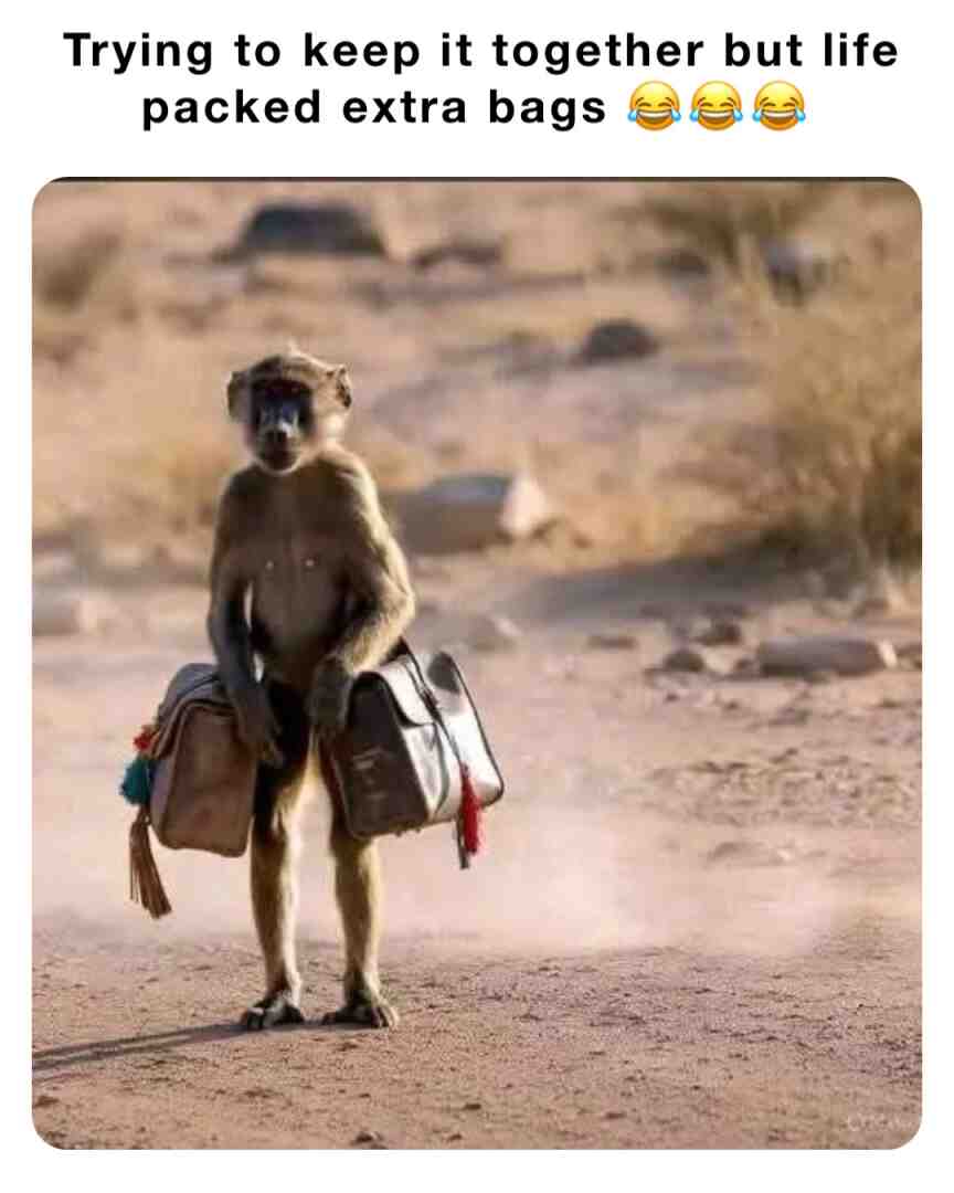 Meme shared by @YBravomeme
