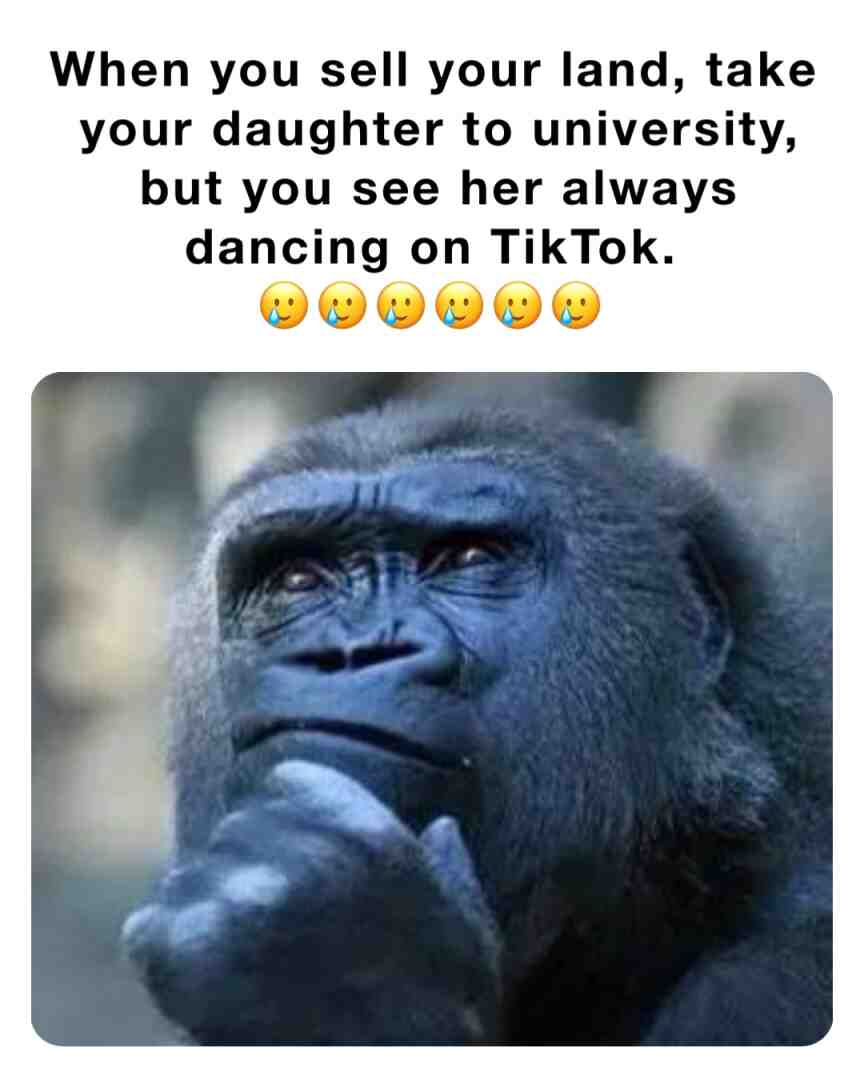 Meme preview