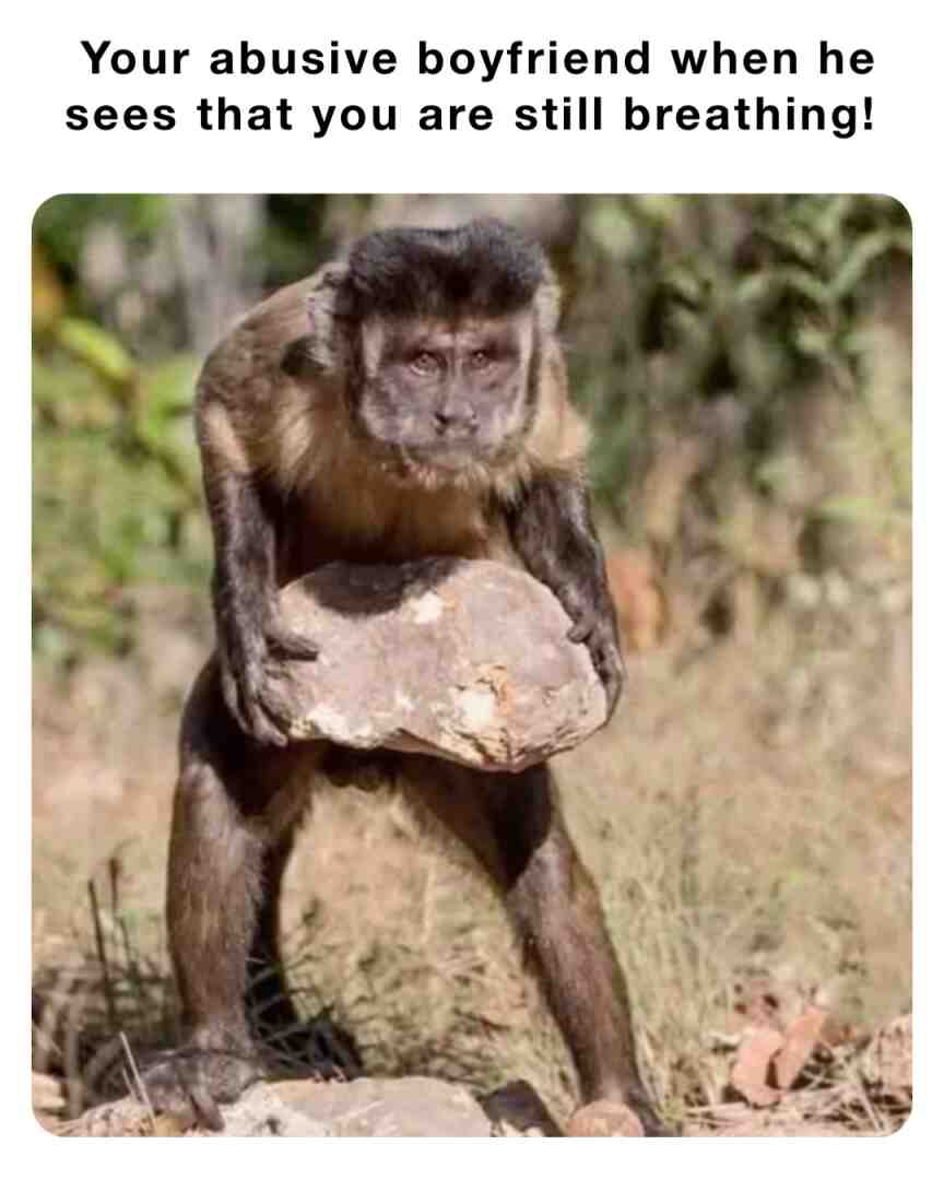 Memes