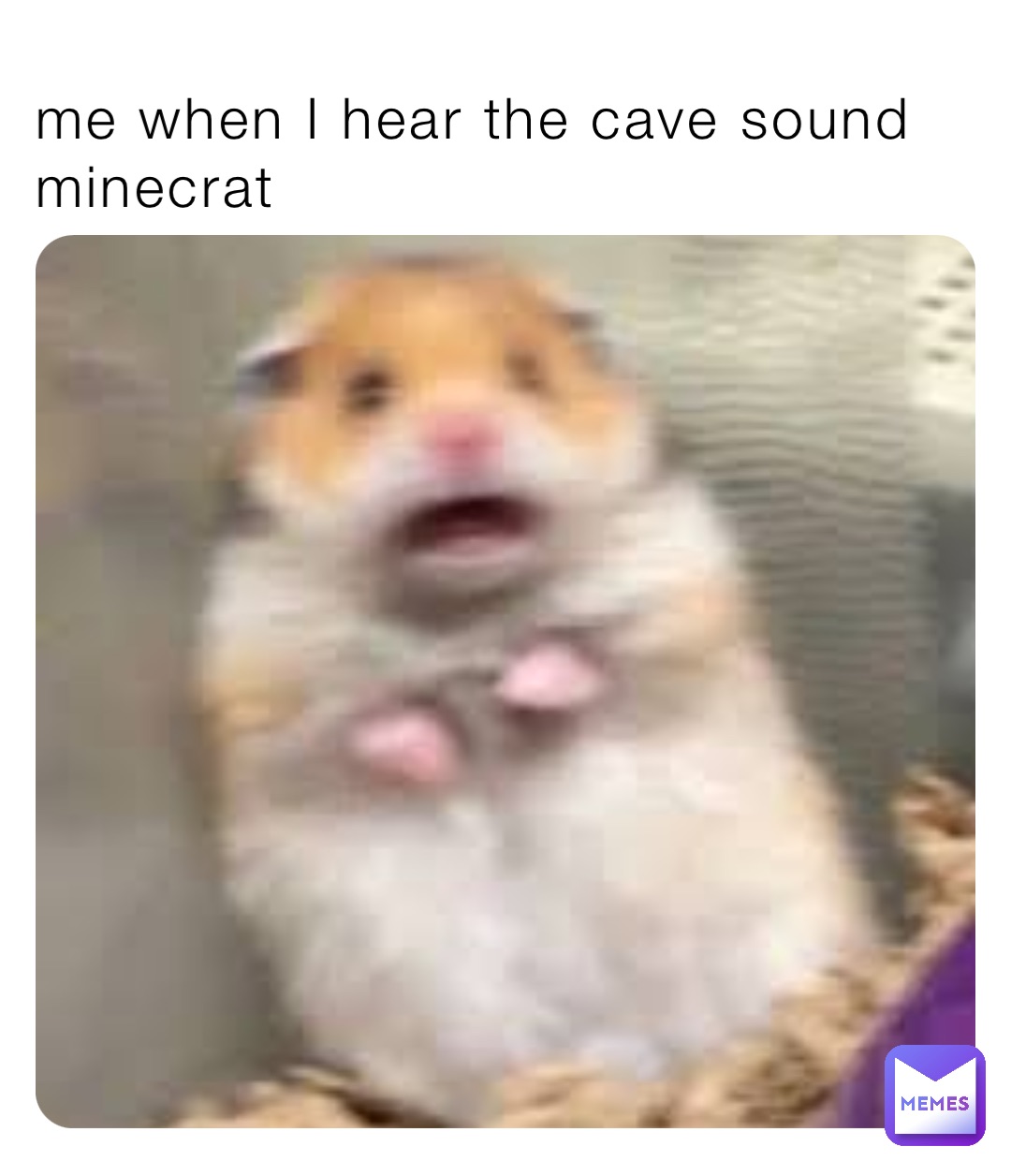 me when I hear the cave sound minecrat