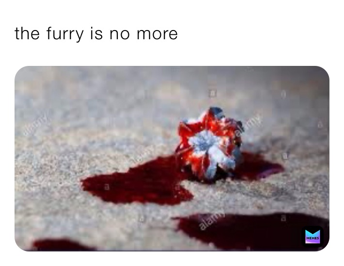 the furry is no more