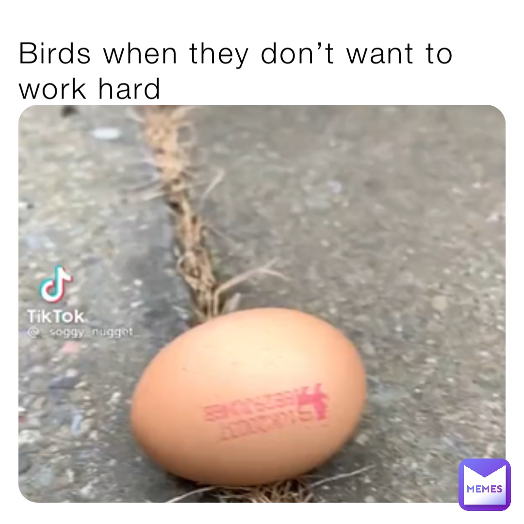 Meme by hansome_sqiudward