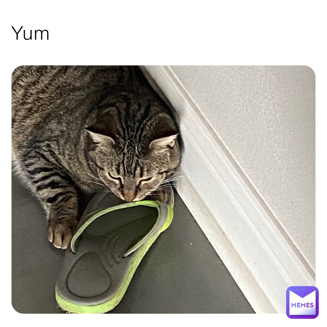 Meme by hansome_sqiudward