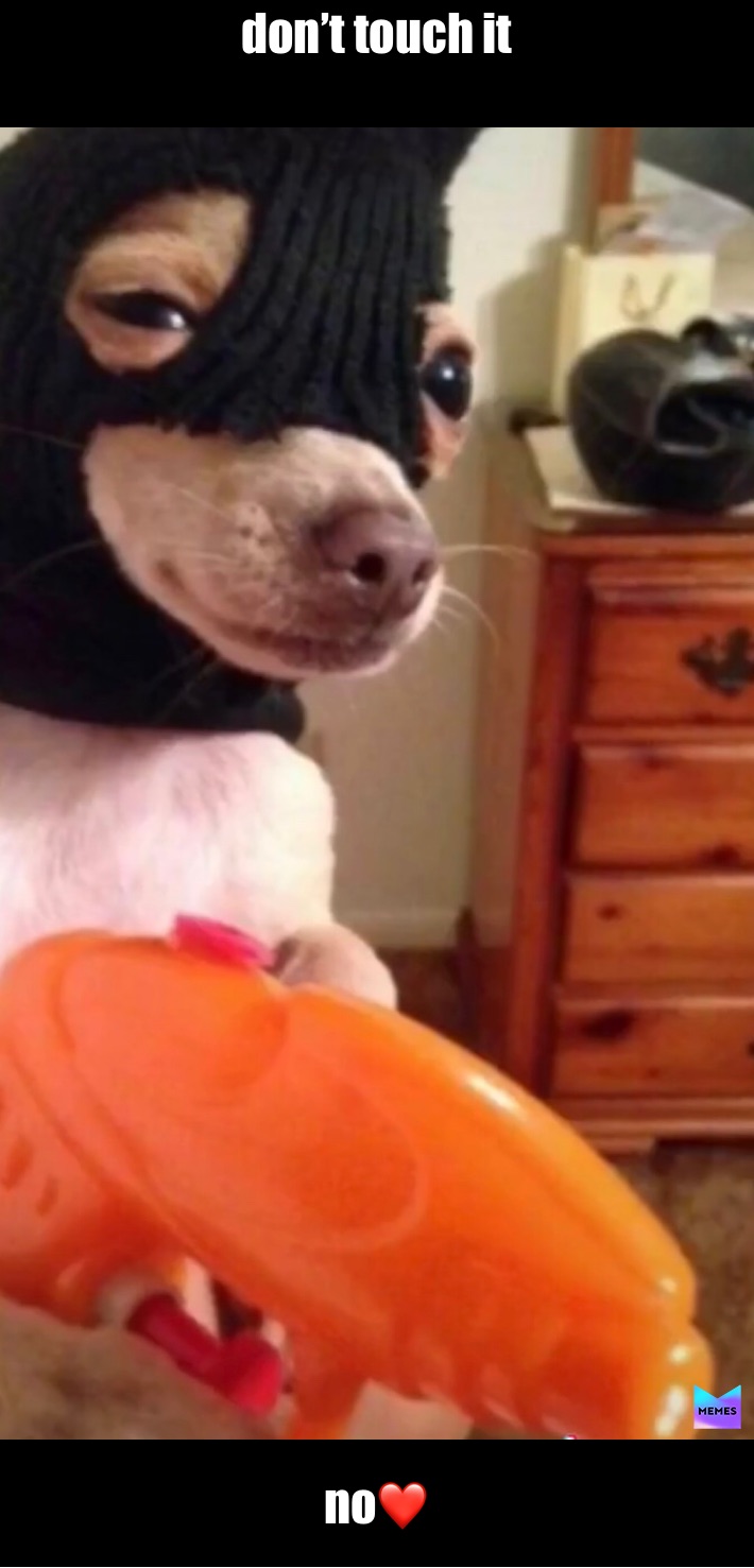 Meme by quality__memes