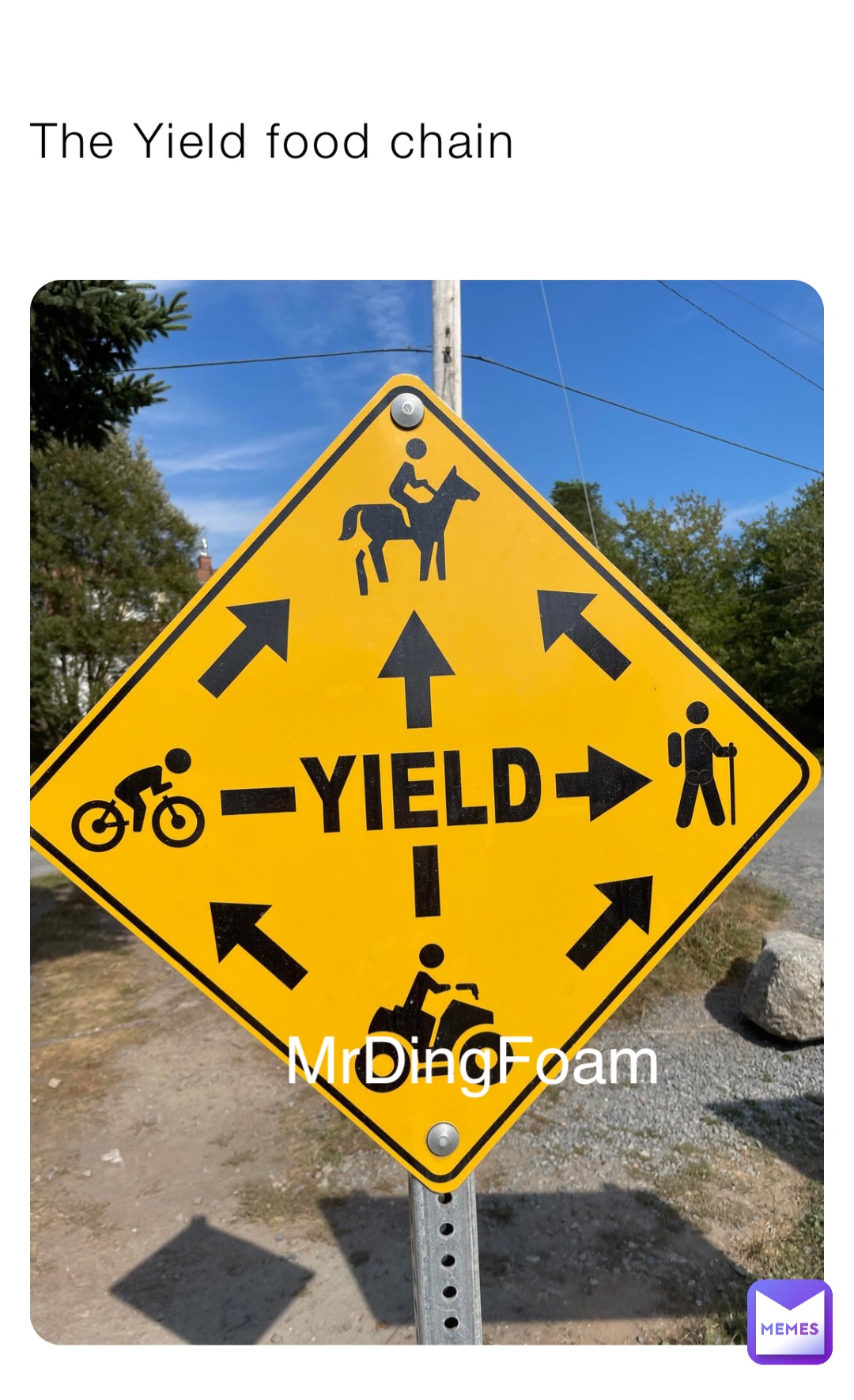 The Yield food chain