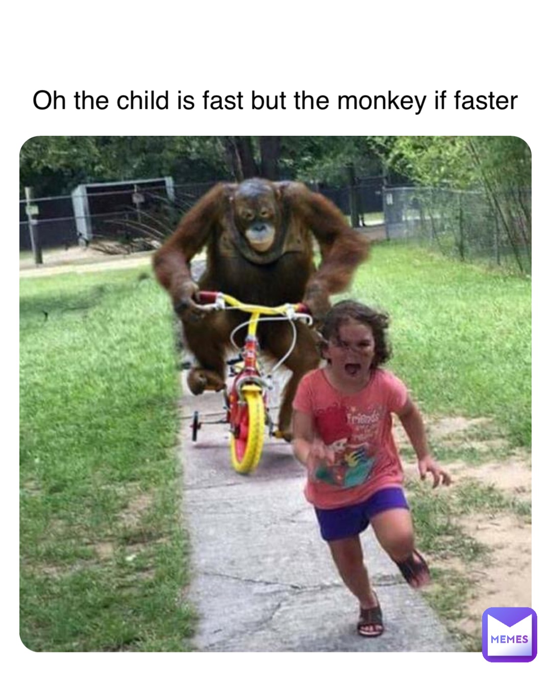 Oh the child is fast but the monkey is faster Oh the child is fast but the monkey if faster