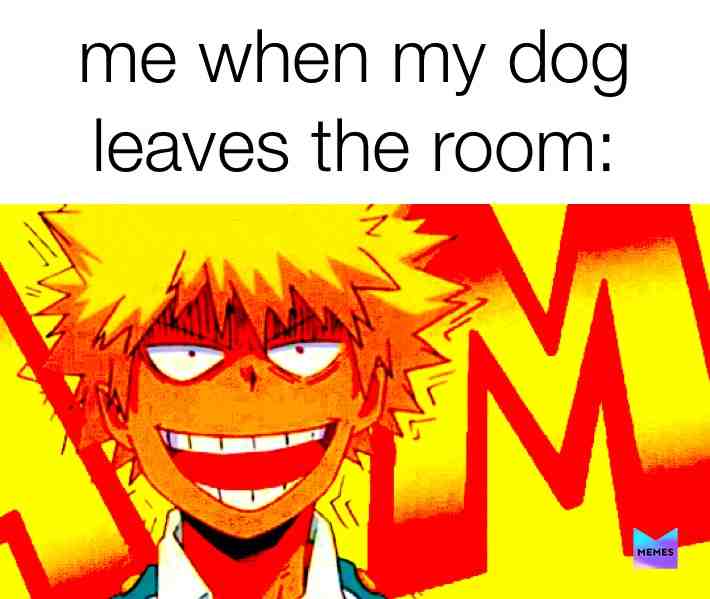 Bakugo shih post #bnha #myhero #corona