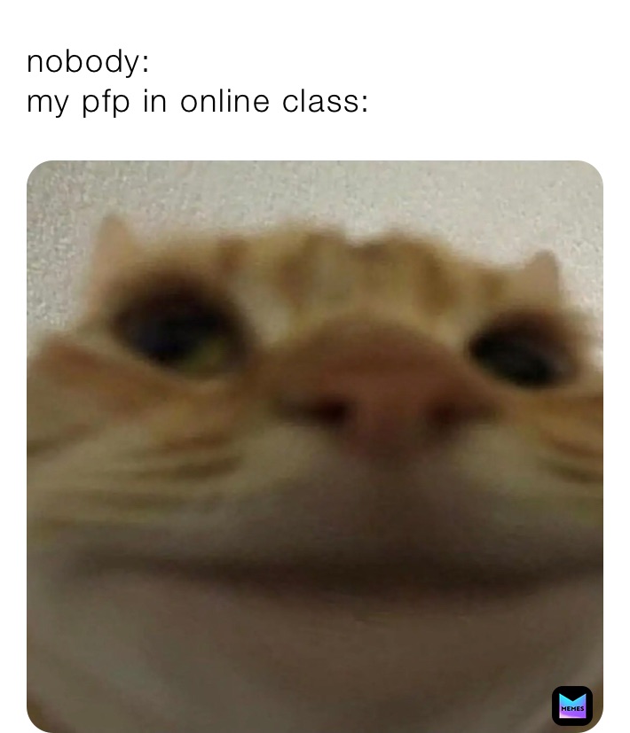 nobody:
my pfp in online class: