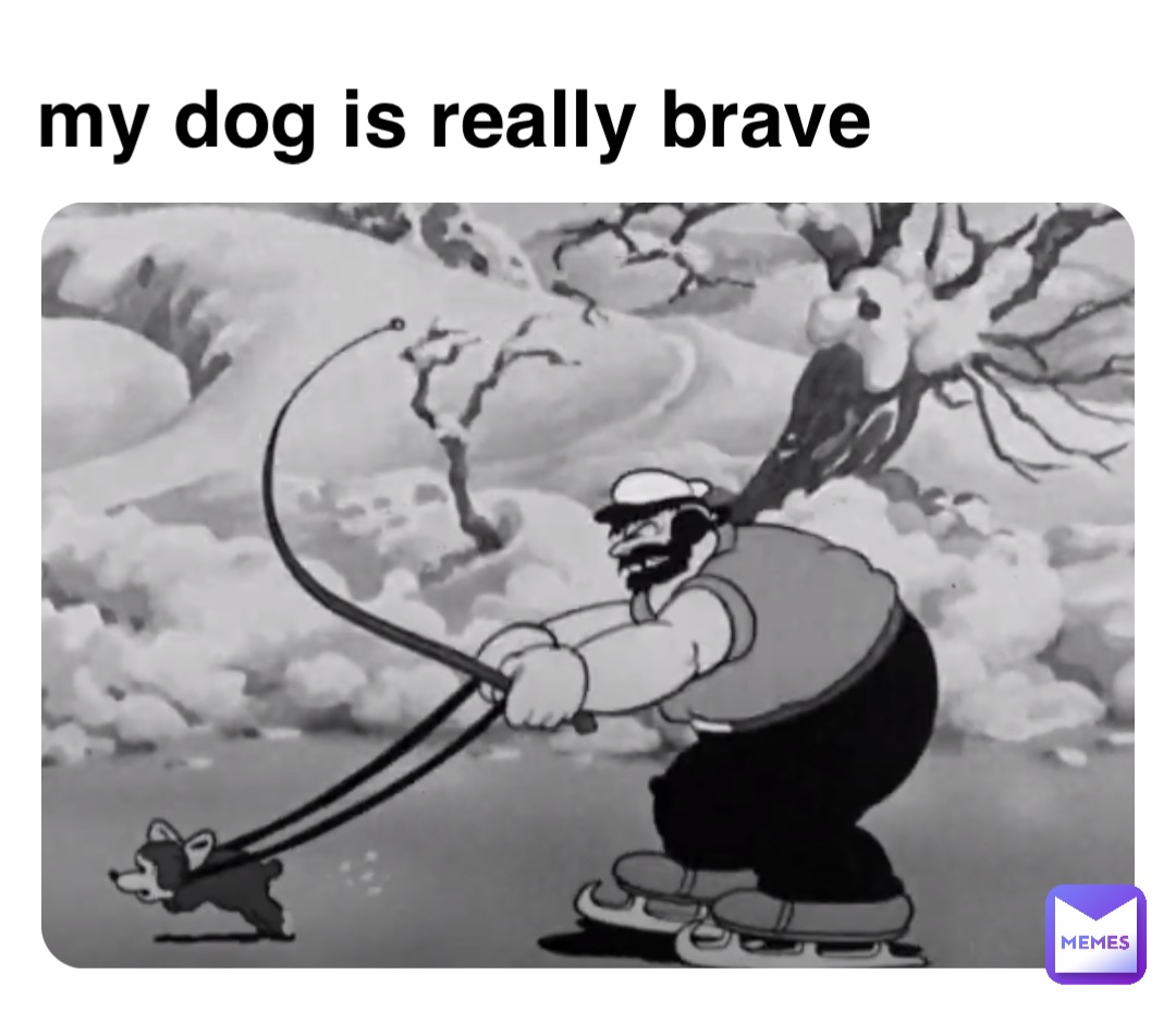 my dog is really brave