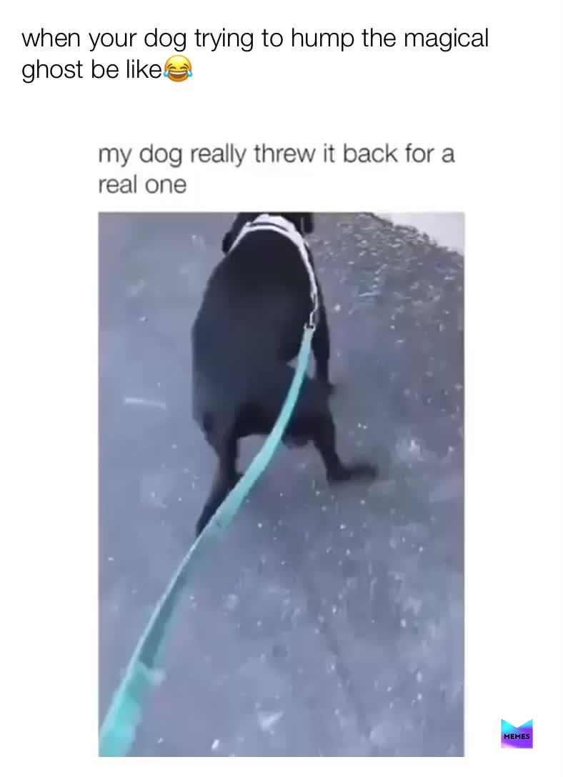 Epic dog meme😂  #meme  #darkmeme  #dog   #dogmeme  #like  #follow  #comment  #foryou  #foryoupage