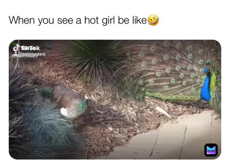 When you see a girl be like🤣  #funnymemes  #memes  #memepage  #darkmemes  #like ​ #Follow  #comment  #foryou  #foryoupage