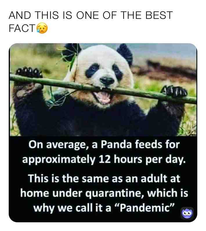 #memes