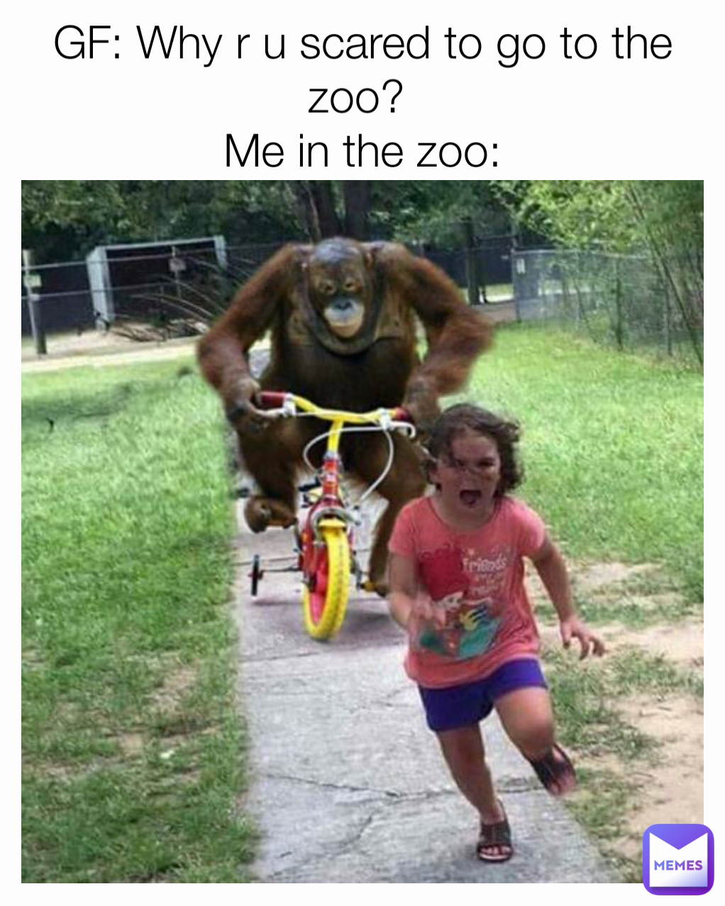 GF: Why r u scared to go to the zoo? 
Me in the zoo: