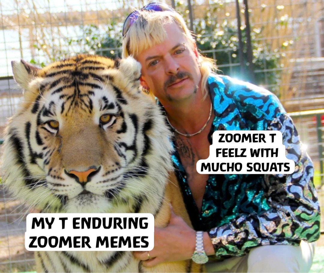 MY T ENDURING ZOOMER MEMES ZOOMER T FEELZ WITH MUCHO SQUATS