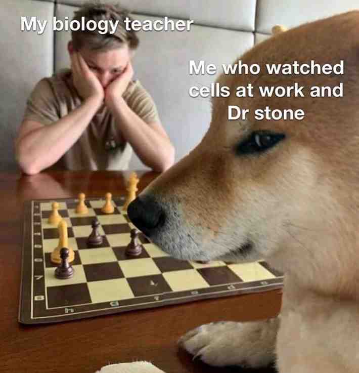 Meme shared by @Nameless_Flamingo
