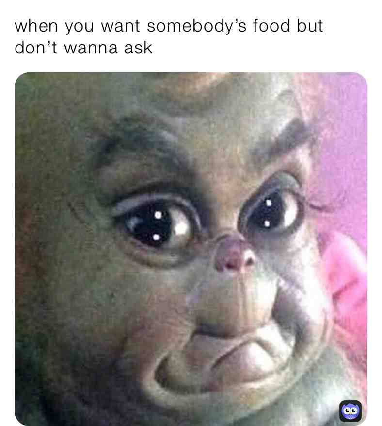 Accurate #mypostsareshitlol #flamingo #memes #italianstringbeans #ily