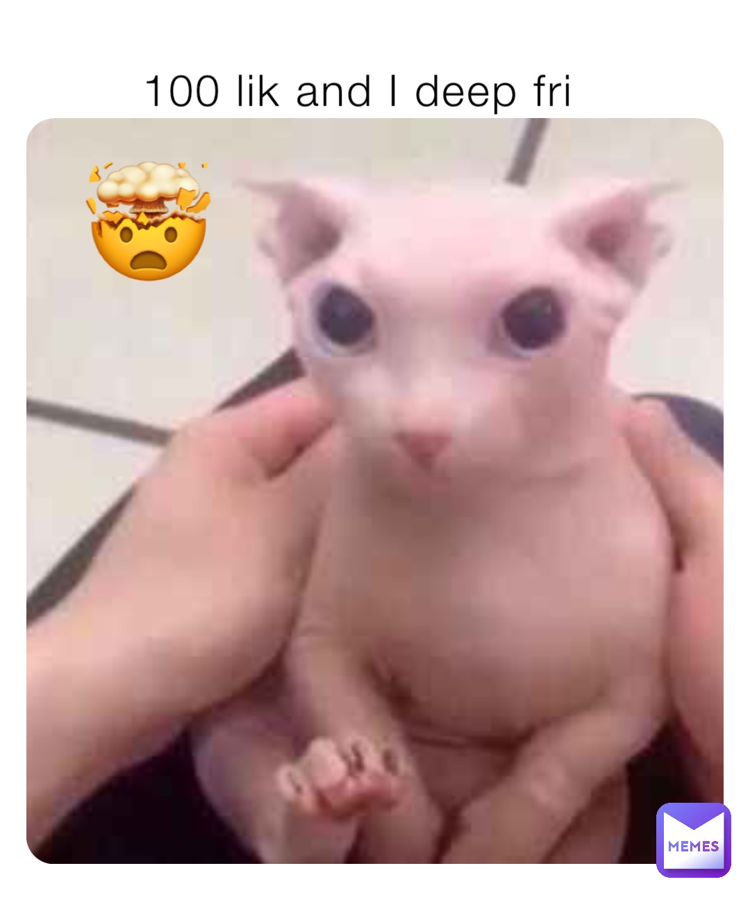100 lik and I deep fri 🤯