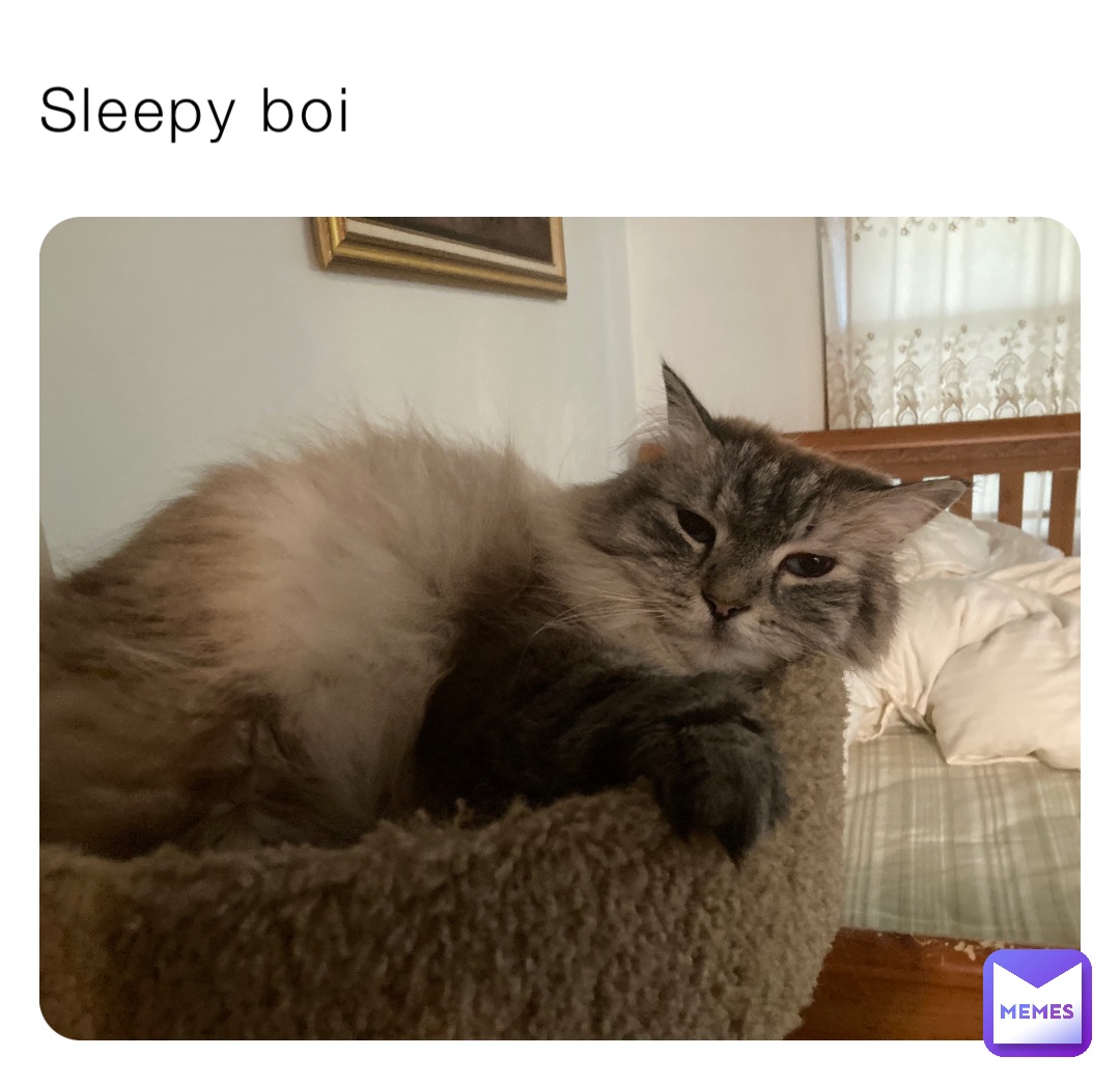 Sleepy boi