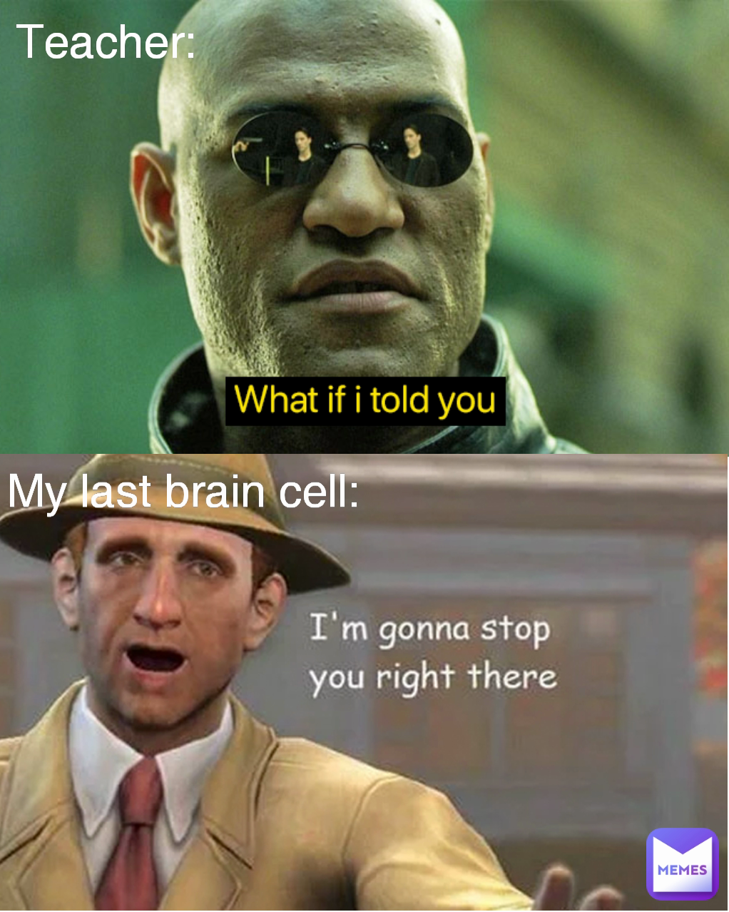 Teacher: My last brain cell: