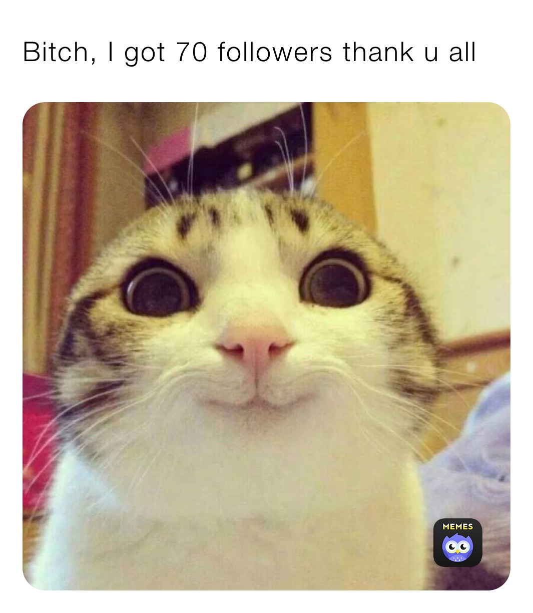 Bitch, I got 70 followers thank u all