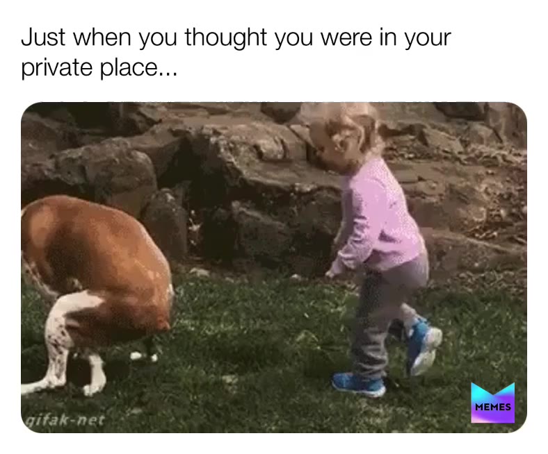 Meme shared by @dachef