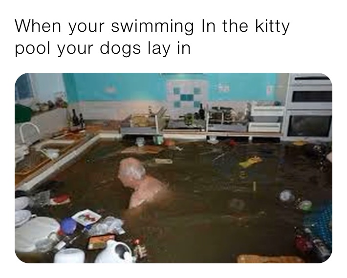 When your swimming In the kitty pool your dogs lay in 