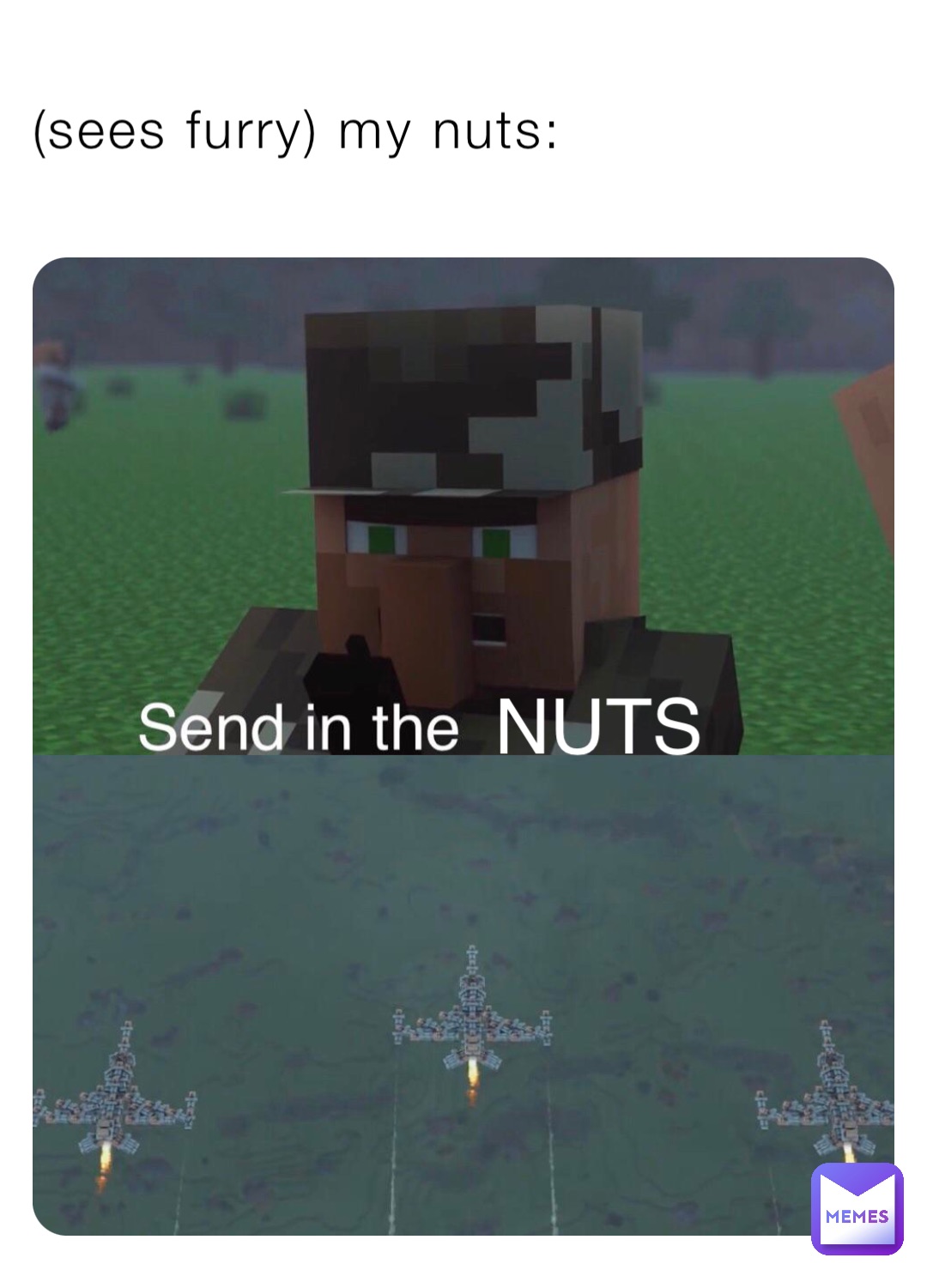 (sees furry) my nuts: Penguins NUTS