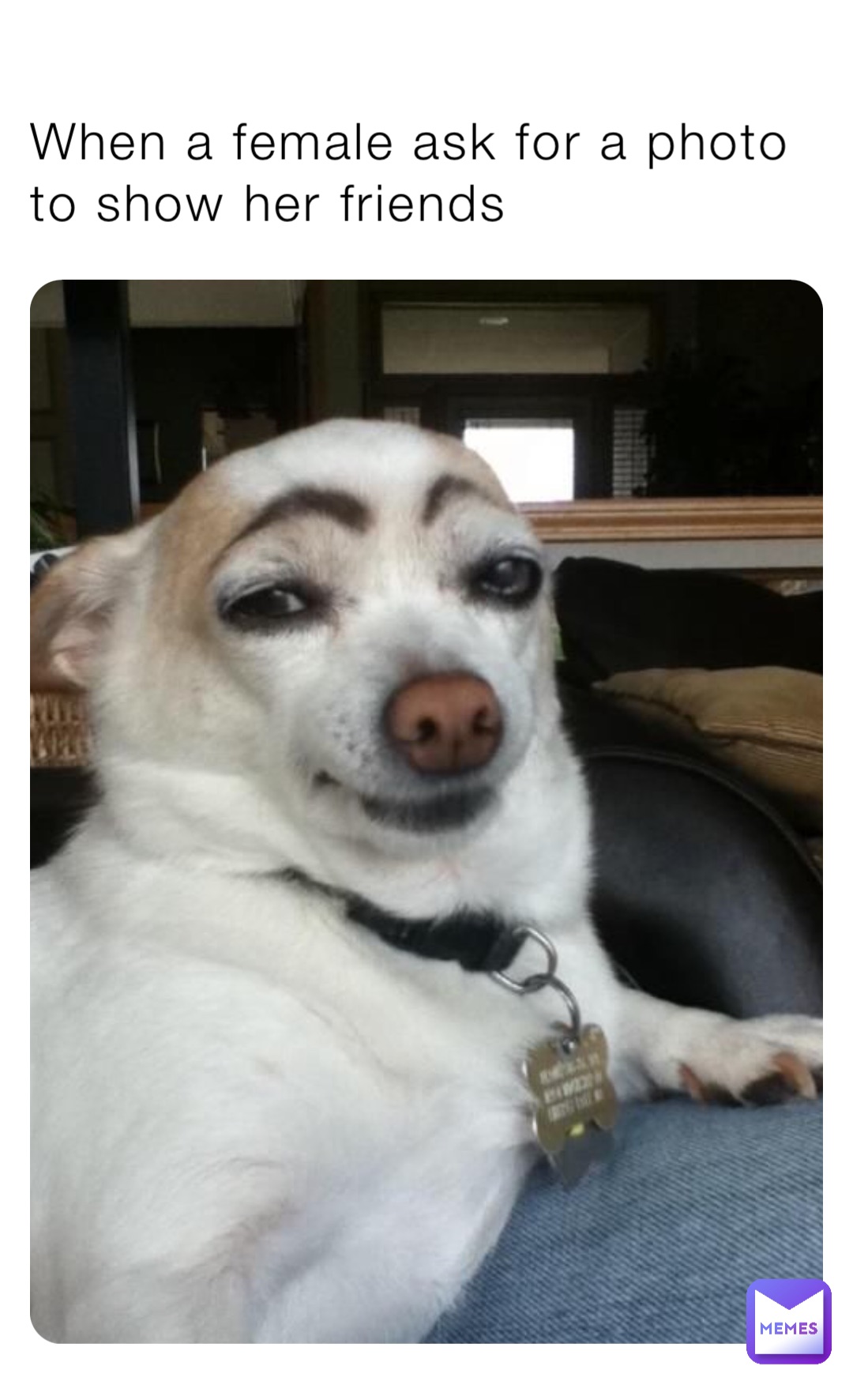 Meme by Daboy_jaheim