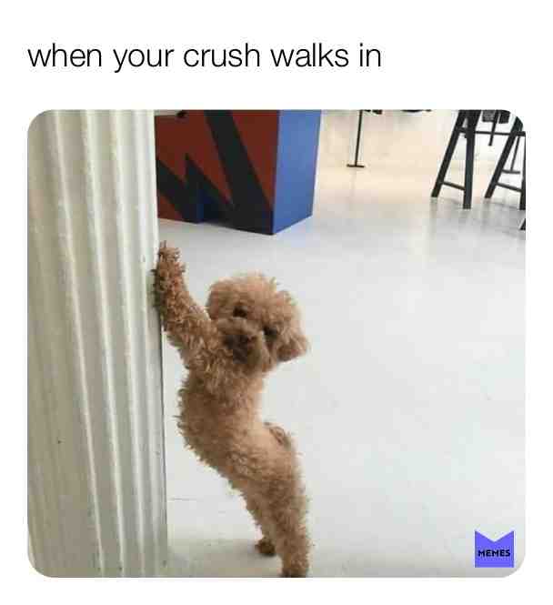 ahahahahha  #memes  #funny  #hilarious