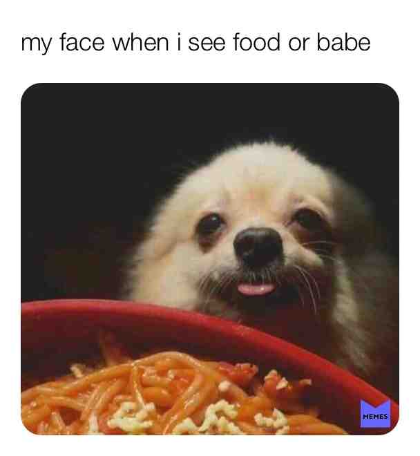 right?..  #memes funny  #hilarious
