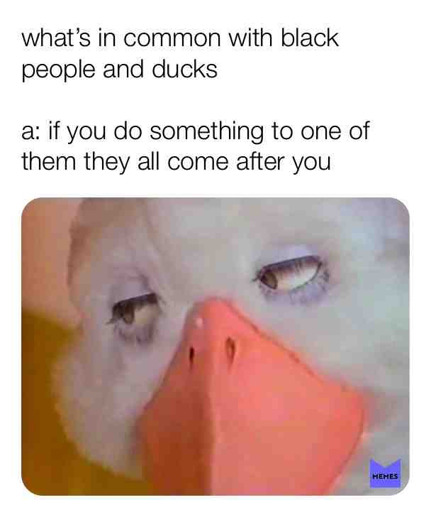 Meme shared by @Memesalmostdaily
