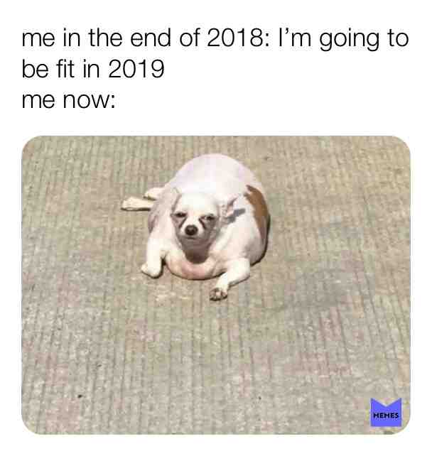 #newyear  #memes  #funny  #hilarious